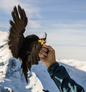 aiguille du midi 3 - Développeur de site web et d'application mobile en Haute-Savoie - Création de site web - Jérémie Bottollier Curtet